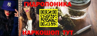гидра Кингисепп