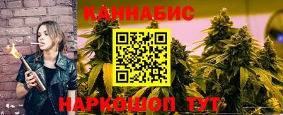 гидра Кингисепп