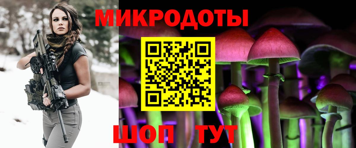 Галлюциногенные грибы Psilocybine cubensis Златоуст